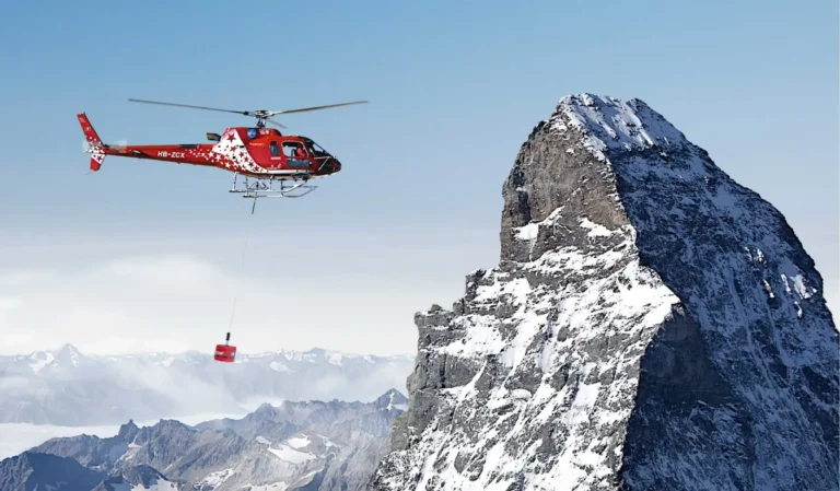 RECCO Search & Rescue System